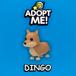 Dingo
